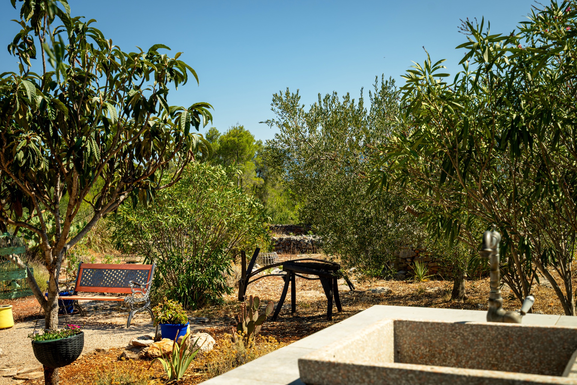 Estate Photo